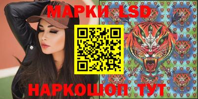 spice Гусев