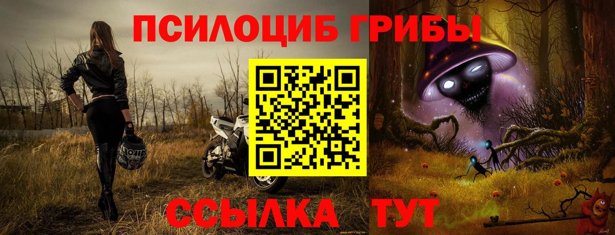 Псилоцибиновые грибы прущие грибы  Вход с VPN  Псилоцибиновые грибы Psilocybe  Мелеуз 